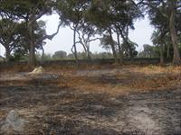 Land for Sale in Tujering Full...